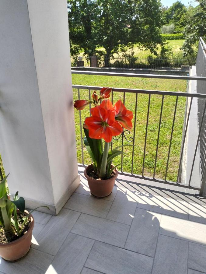 Alloggio Le Due Querce Acquapendente Exteriör bild